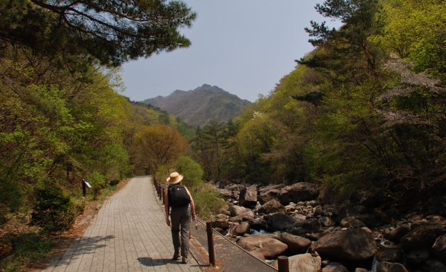 Entrance to one of the main trails in Sobaeksan, near Danyang.  Photo by Steebu